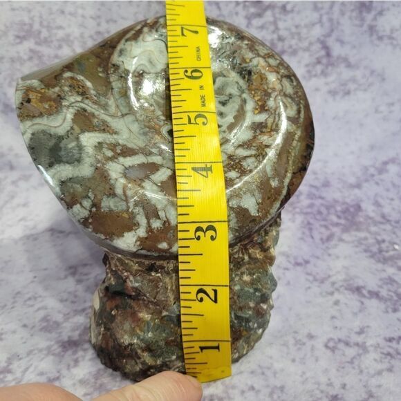 Ammonite & Goniatte Fossil Free Standing - Picture 8 of 12